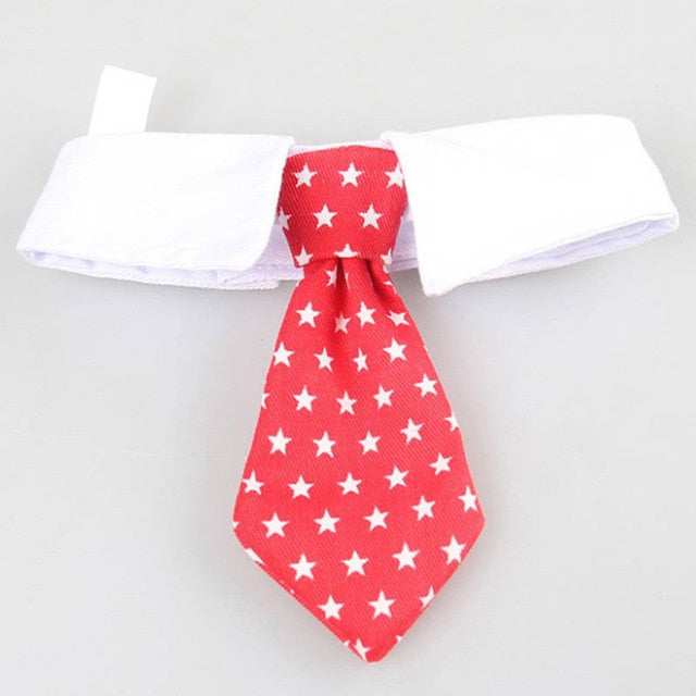 Formal Pet Bow Tie Collar for Dogs and Cats, Stylish Costume Accessory