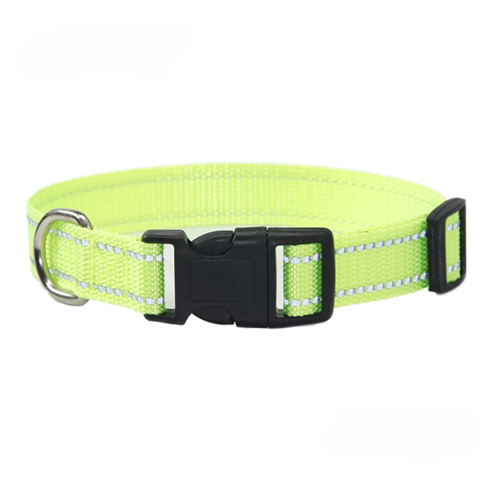 Conjunto de Trela e Coleira de Nylon para Cães Pequenos, Médios e Grandes