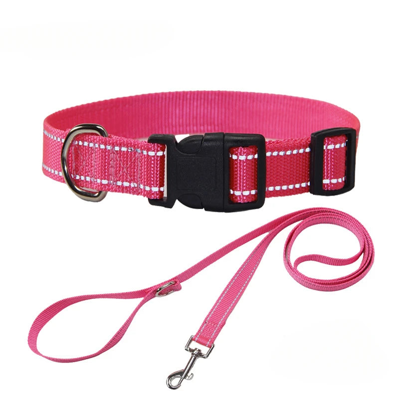 Conjunto de Trela e Coleira de Nylon para Cães Pequenos, Médios e Grandes