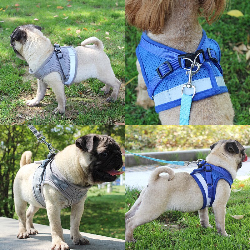 Reflective Dog Harness and Leash Set for Small and Medium Pets