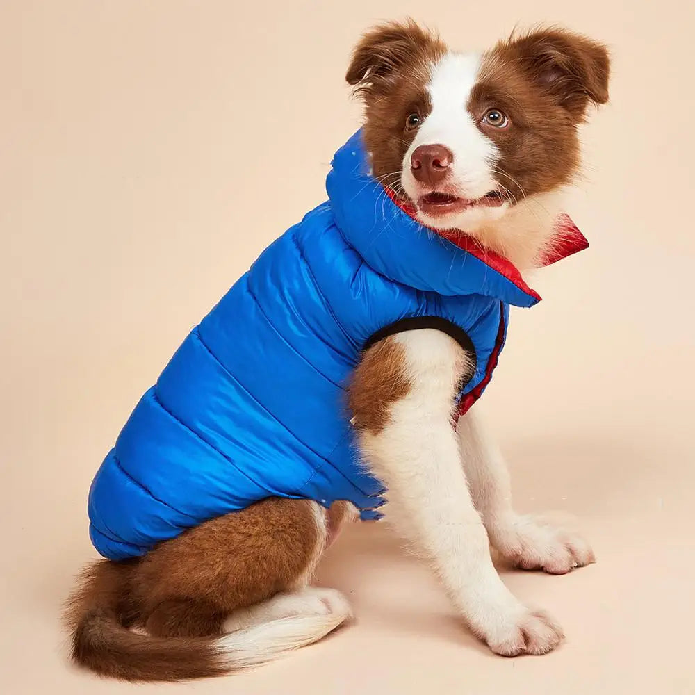 Warm Autumn and Winter Dog Sweater for Small and Medium Pets