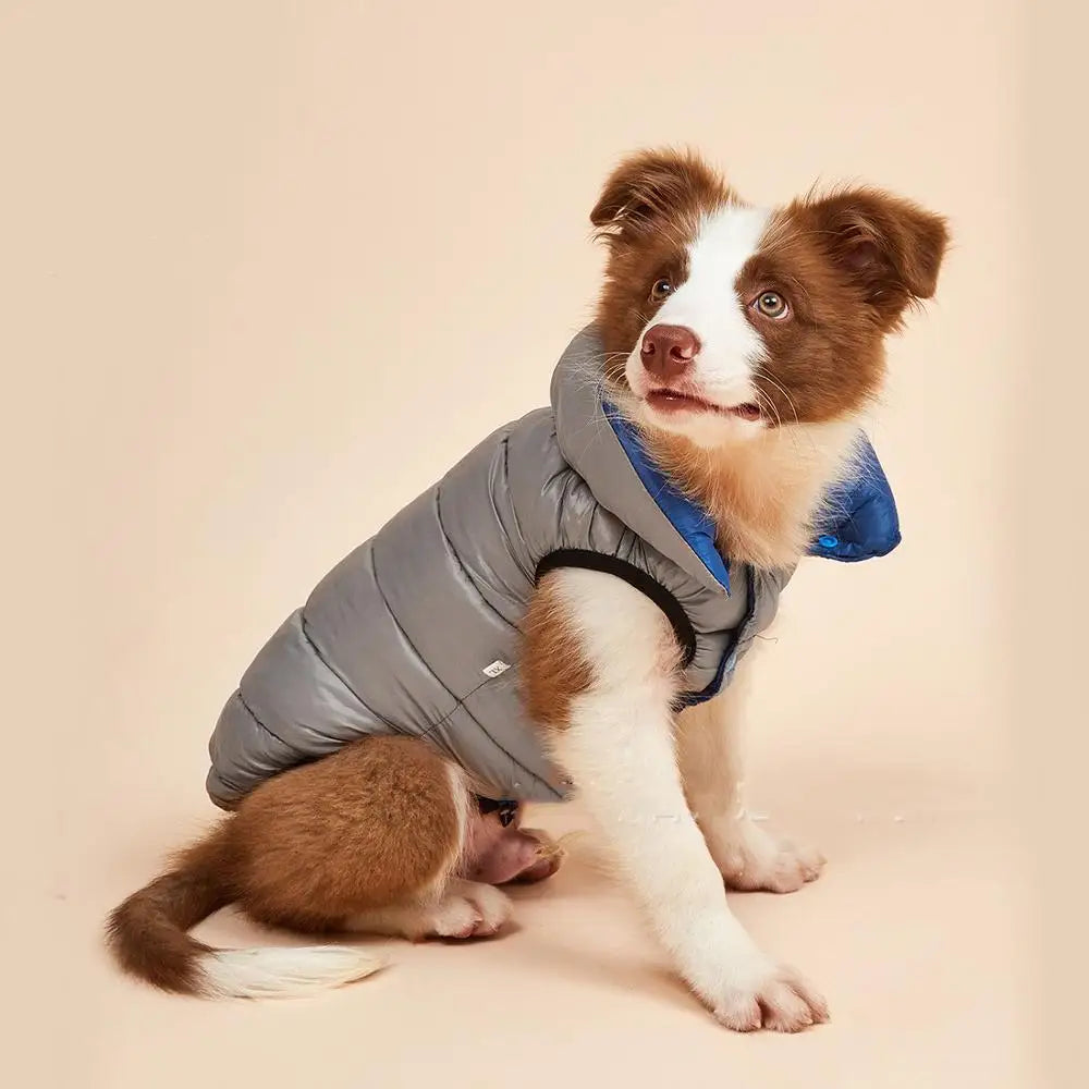 Warm Autumn and Winter Dog Sweater for Small and Medium Pets