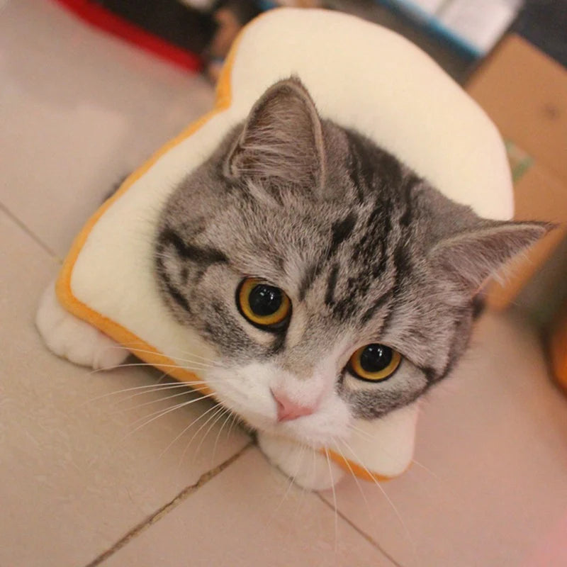 Toast Pet Headgear for Cats, Funny Soft Costume Hat for Photos and Dress-Up
