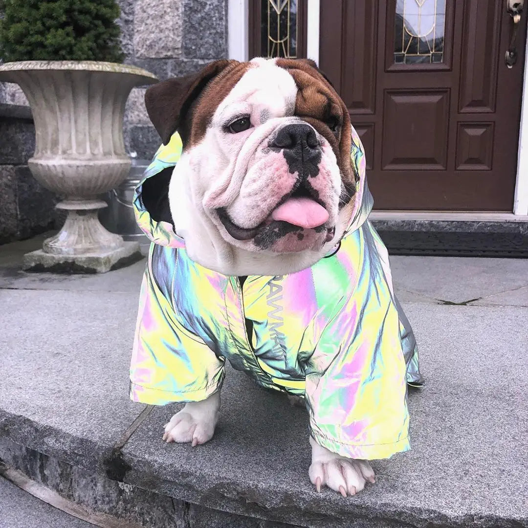 Reflective Hooded Dog Windbreaker Jacket for Small and Medium Dogs