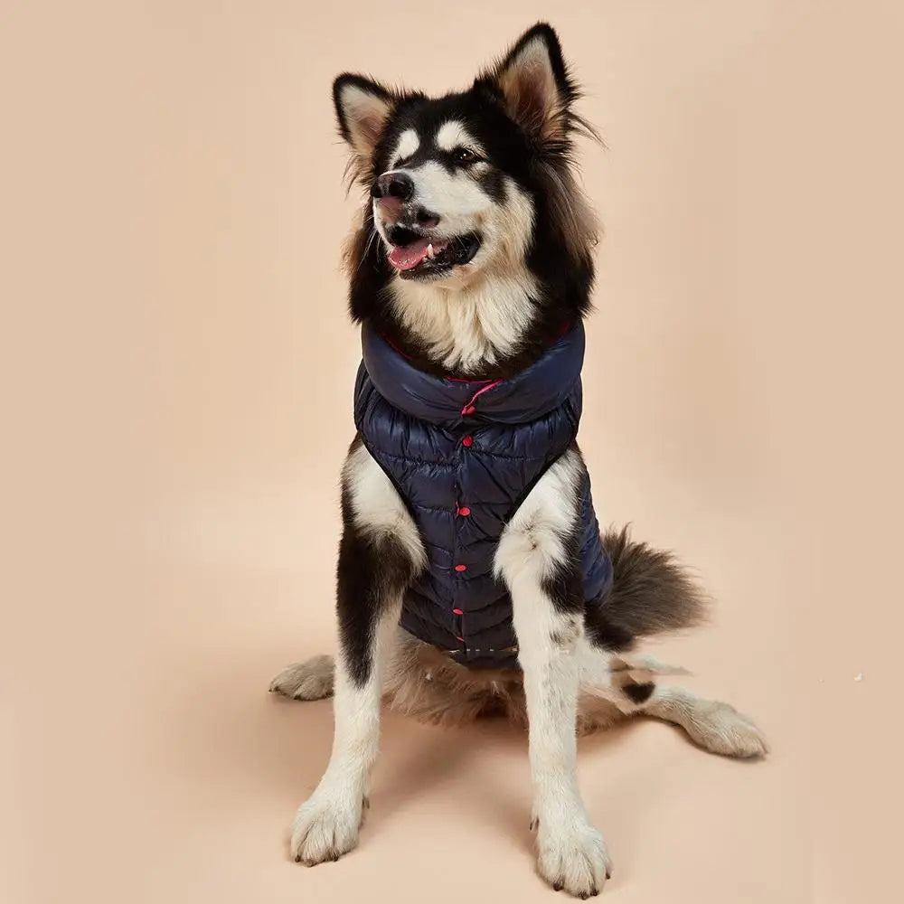 Warm Autumn and Winter Dog Sweater for Small and Medium Pets