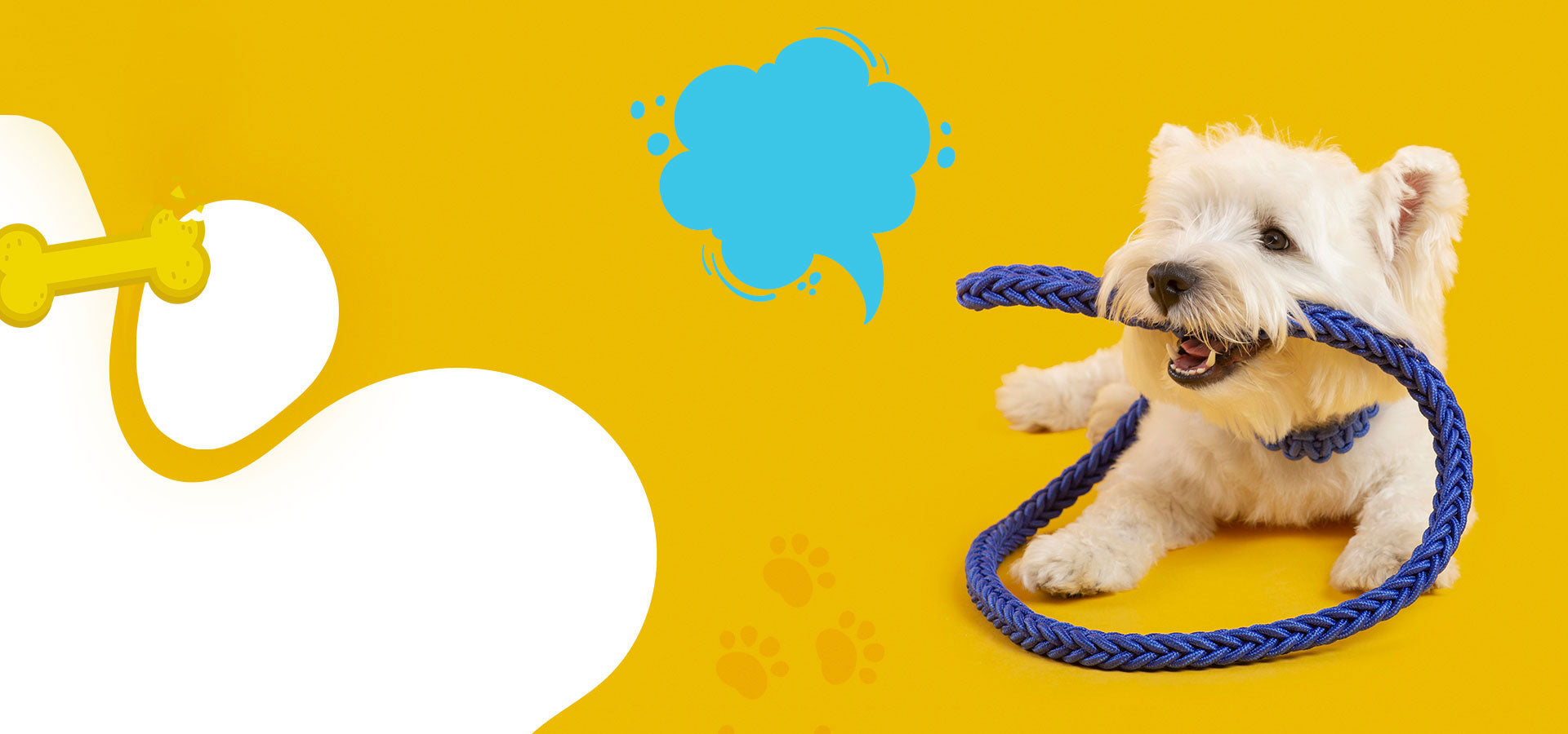 Toys, Treats & Everyday Essentials